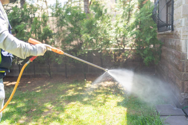 Lawn Pest Control in Milpitas, CA